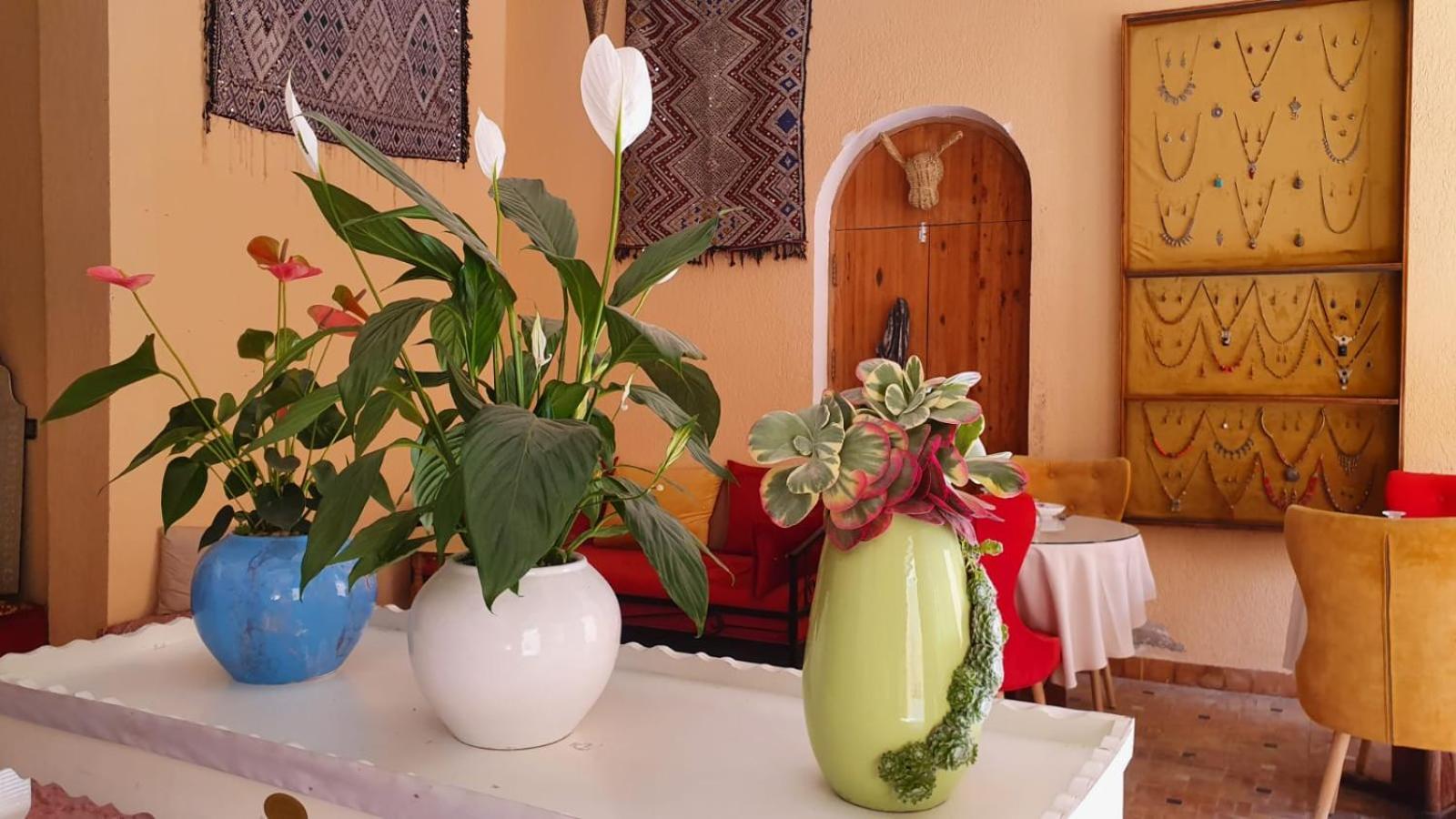 Riad Golf Stinia 2 Meknes Exterior photo